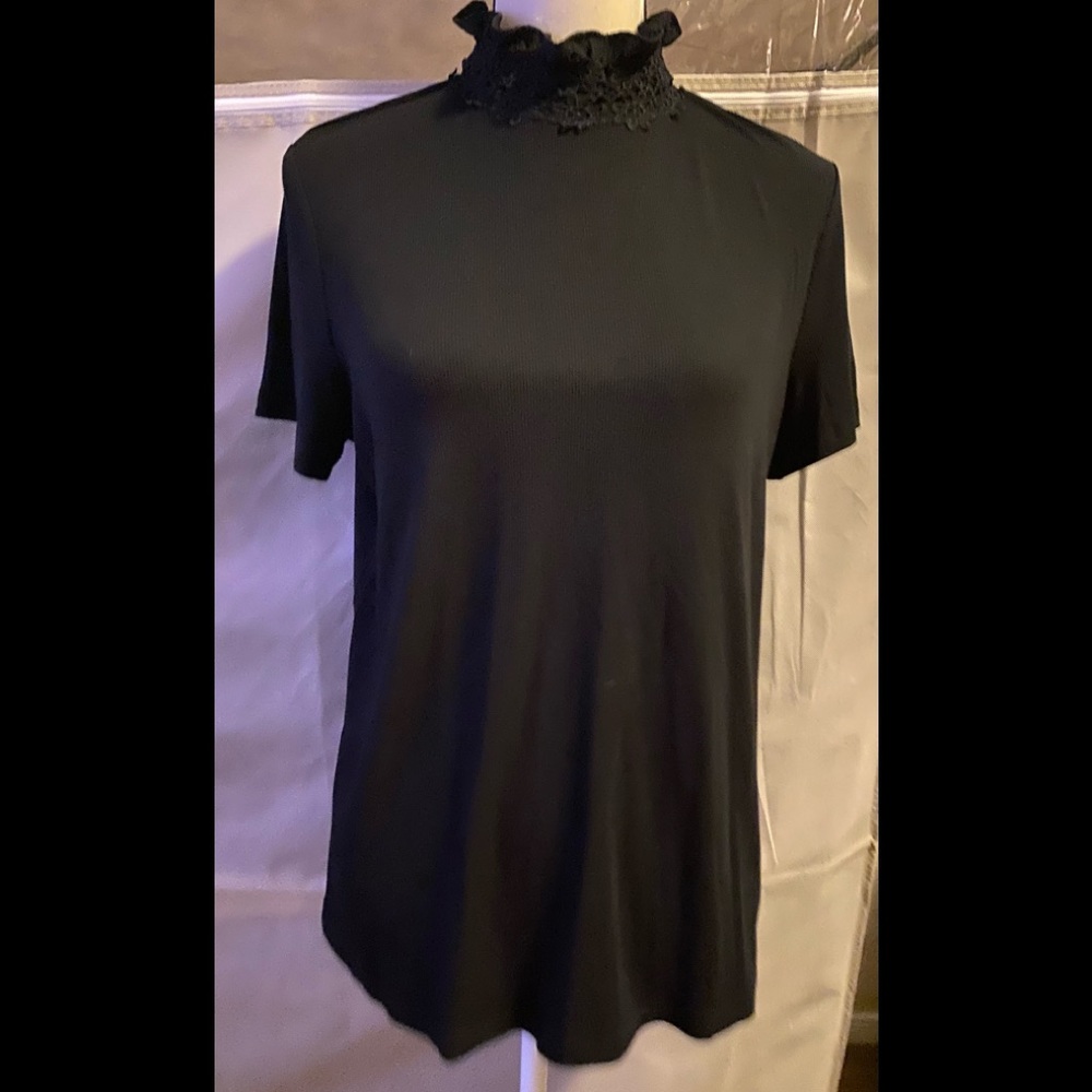 White Birch - image 1